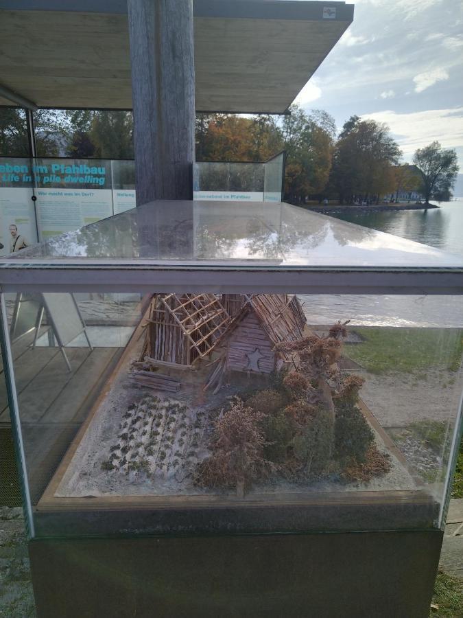 Apartment 3 Gaeste Schoerfling Luaran gambar